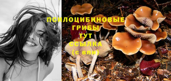 а пвп мука Надым