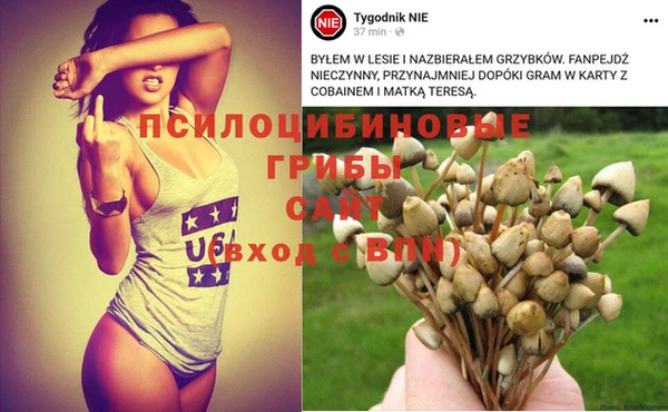 соль ск Михайлов