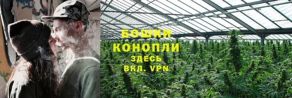 соль ск Михайлов