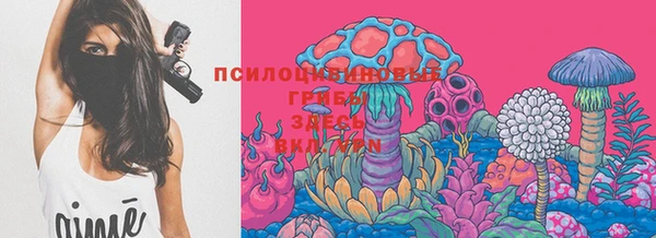 а пвп мука Надым