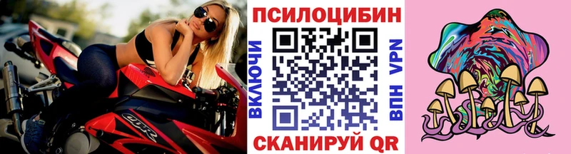 Псилоцибиновые грибы прущие грибы  купить  сайты  дарк нет состав  Сургут 