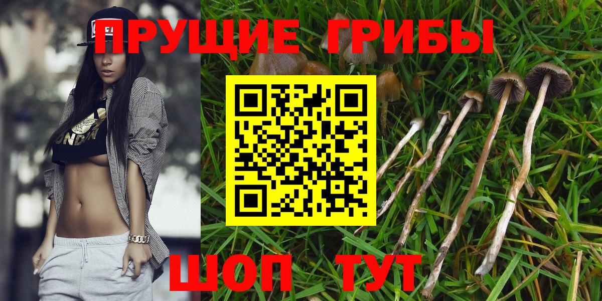 Галлюциногенные грибы прущие грибы Сургут